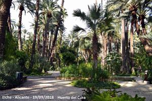19 ELCHE HUERTO DEL CURA (29)